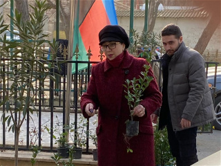Flowers and tree bushes were planted in front of the monument of martyr Elvin Bayramov